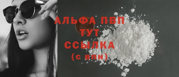гашик Надым