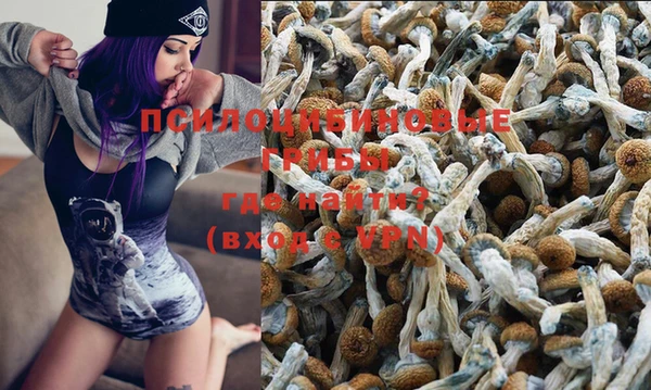 молекула духа Аркадак
