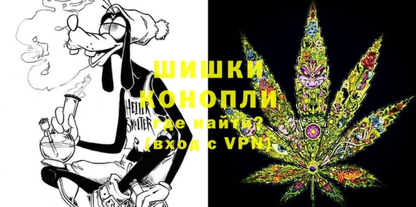 молекула духа Аркадак