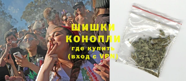 молекула духа Аркадак