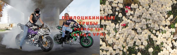 дмт Армянск