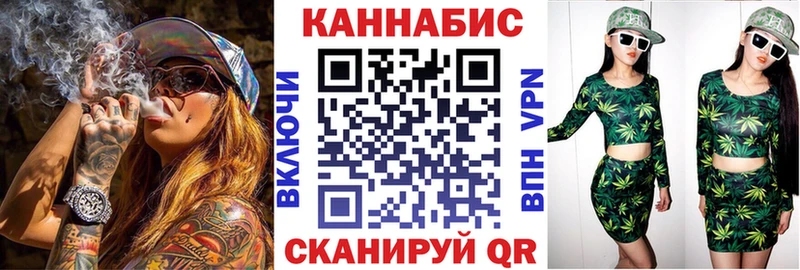 Конопля гибрид  Пущино 